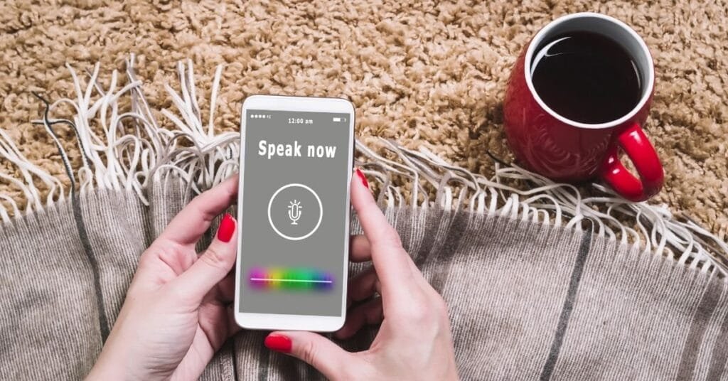 voice search interface